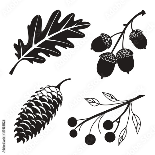 Black silhouettes of oak leaf acorns pinecone and berries branch