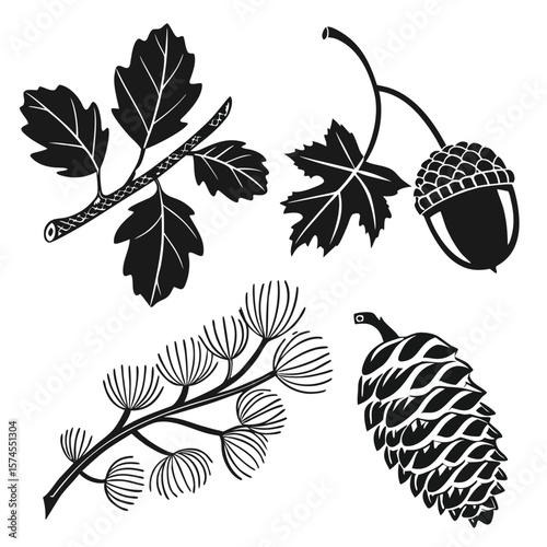 Black silhouettes of oak leaves acorn pine cone and pine needles branch