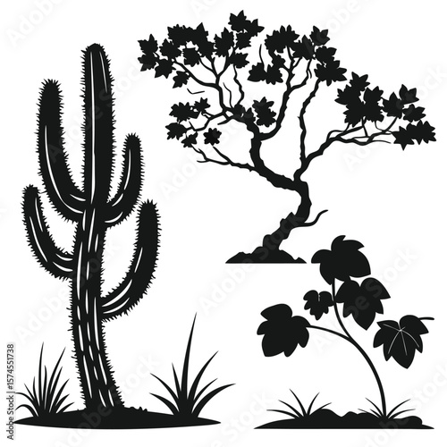 Black silhouettes of desert plants and a leafy tree cactus
