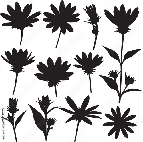 Stylized black flower silhouettes capturing diverse botanical shapes of daisies and other wildflowers, ideal for natural designs and graphic elements
