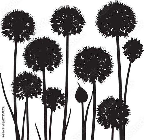 Black botanical silhouettes of blooming allium flowers with round heads, perfect for nature-inspired designs, garden themes, decorative patterns, and elegant illustrations for various creative project