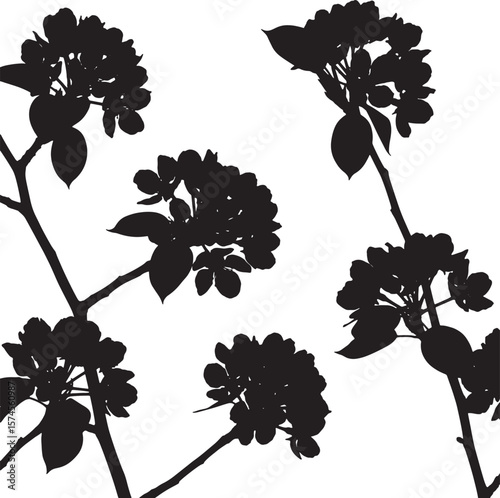 Dramatic silhouette vector of apple tree branches with delicate blossoms, perfect for spring-themed designs, wedding invitations, and botanical illustrations, highlighting natural beauty