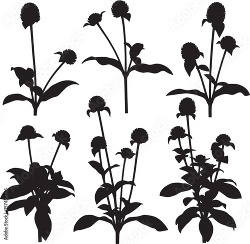 Elegant black silhouette of various plants and flowers, ideal for botanical designs, natural themes, or creating striking graphic elements for creative projects and sophisticated natural illustrations