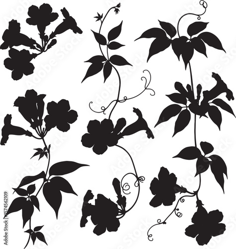 Detailed silhouette collection of various floral elements, including trumpet flowers and delicate vines with curling tendrils, perfect for elegant graphic design projects