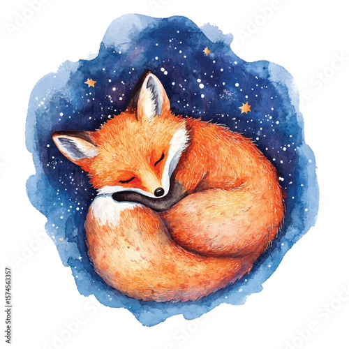 Watercolor depiction of a curled sleeping fox under a starry night sky