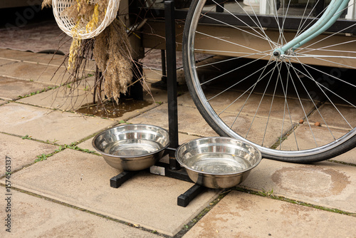 Stainless steel bowls on a raised stand, providing water for pets in an outdoor patio setting. Thoughtful pet accessory, pet-friendly café or business