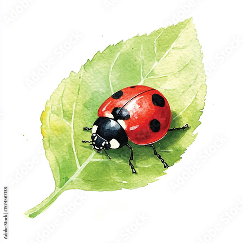 Watercolor depiction of a ladybug resting on a vibrant green leaf