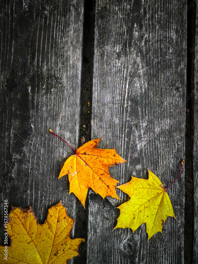 Obraz premium Yellow autumn leaves on wood as nature background.