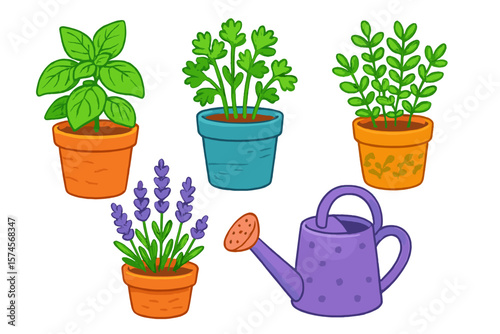 Herbs and watering can displayed in colorful pots with vibrant greenery indoors during daylight