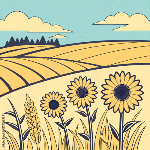 field of sunflowers