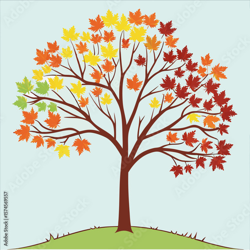 autumn tree with leaves