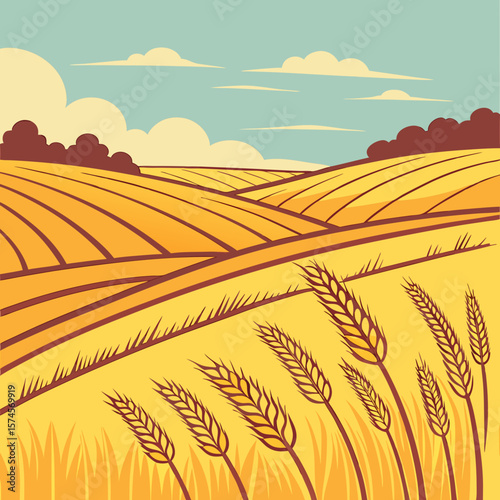  golden harvest fields