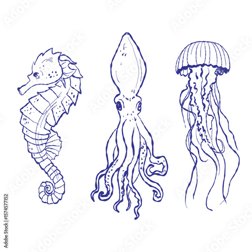 Hand-drawn marine illustration showcases shellfish and tropical fish. Textile-inspired style adds a handcrafted aesthetic.