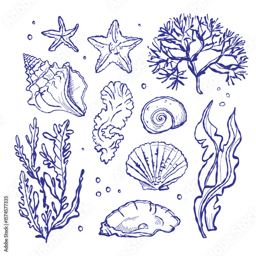 Hand-drawn marine illustration showcases shellfish and tropical fish. Textile-inspired style adds a handcrafted aesthetic.