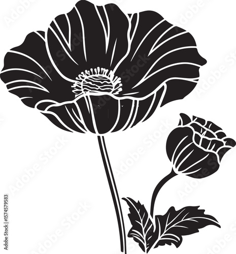 poppy flower vector illustration