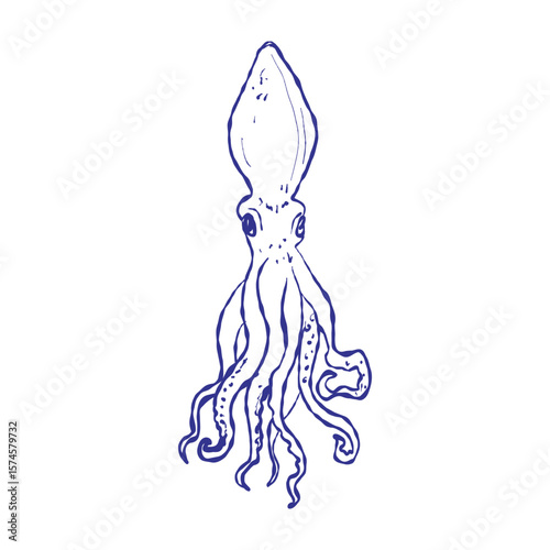 Hand-drawn squid design showing intricate tentacles and ink. Perfect for nautical patterns, textiles, and ocean-themed decorative backgrounds.