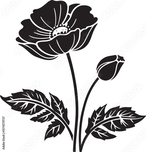 poppy flower vector illustration