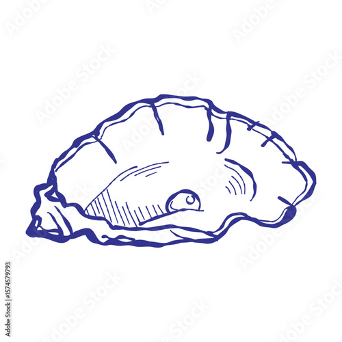 Detailed illustration of mussels and shellfish in a marine setting. Hand-drawn bivalves shown with artistic textures and ocean-inspired colors.