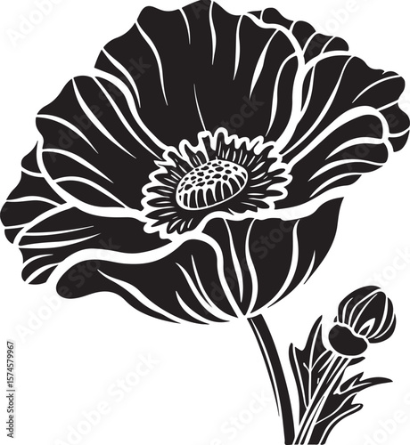 poppy flower vector illustration