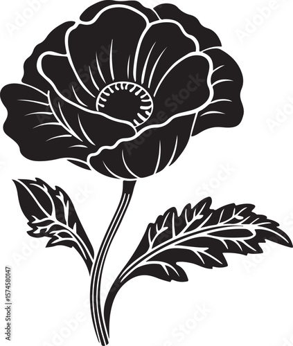 poppy flower vector illustration