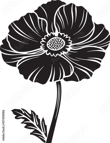 poppy flower vector illustration