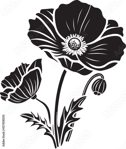 poppy flower vector illustration