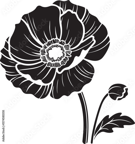 poppy flower vector illustration