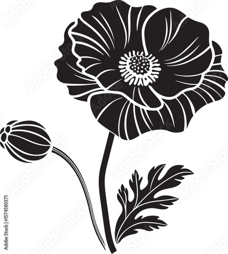 poppy flower vector illustration