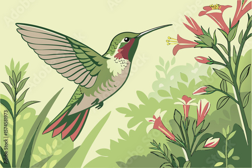 Illustration of a hummingbird hovering near pink flowers in a leafy green background scene design