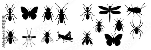 Insect silhouettes showcasing various species in a creative arrangement for educational purposes
