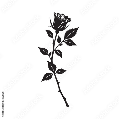 silhouette of rose isolated on white background. Vector illustration., Adobe Illustrator Artwork
