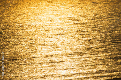 Golden Sea with Lone Bird at Sunrise