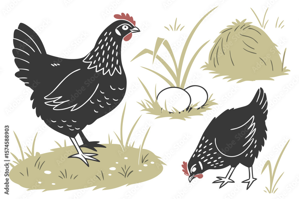 Obraz premium Realistic black chicken breeds collection for agricultural or farm designs