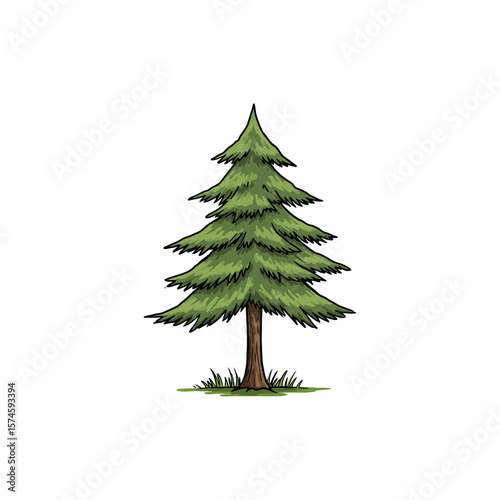 Colorful Icon of Alaska Cedar Tree with No White