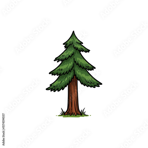 Colorful Icon of Coastal Redwood Tree with No White
