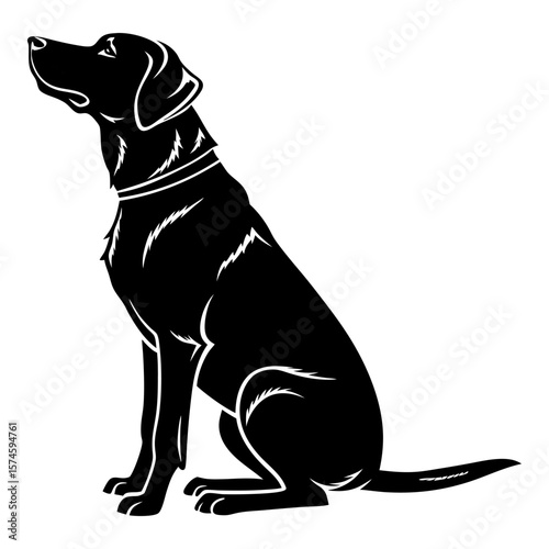 Black dog sitting profile looking up silhouette