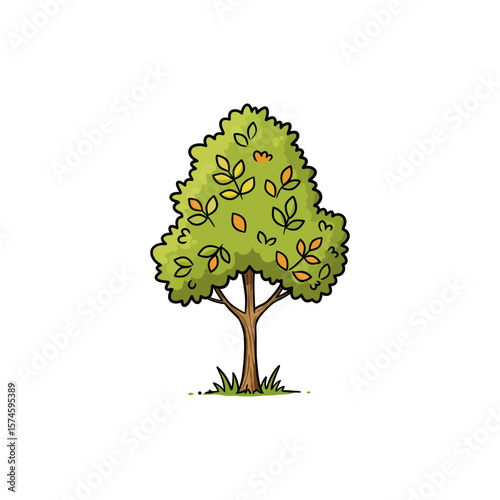 Colorful Hackberry Tree Icon with No White Background