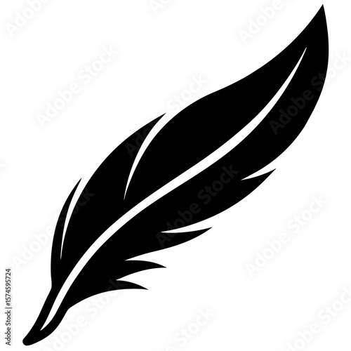 vector illustration of feather