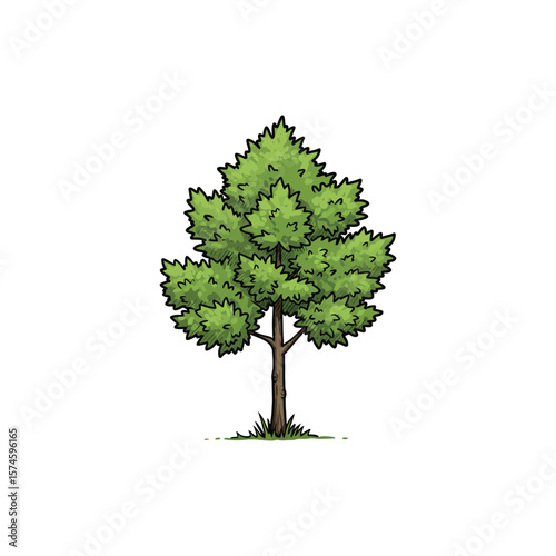 Colorful Icon of Paperbark Maple Tree with Realistic Stem and No White
