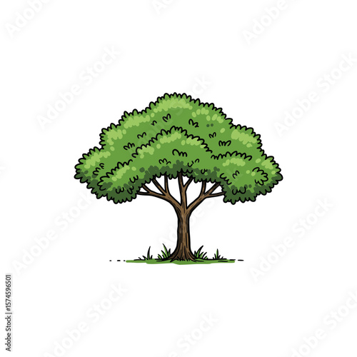 Colorful Icon of Rain Tree with No White