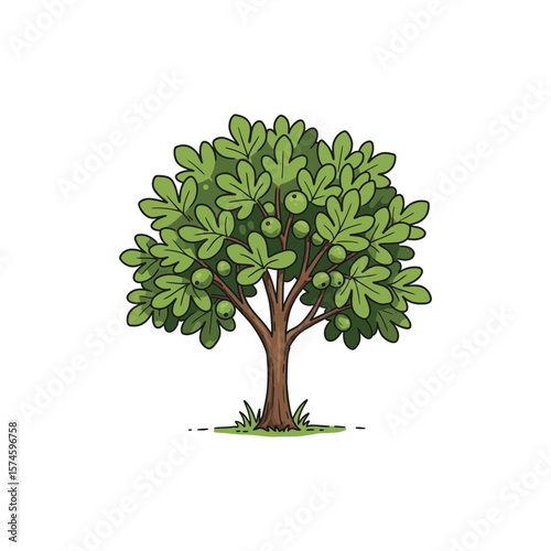 Colorful Icon of Sandalwood Fig Tree with No White