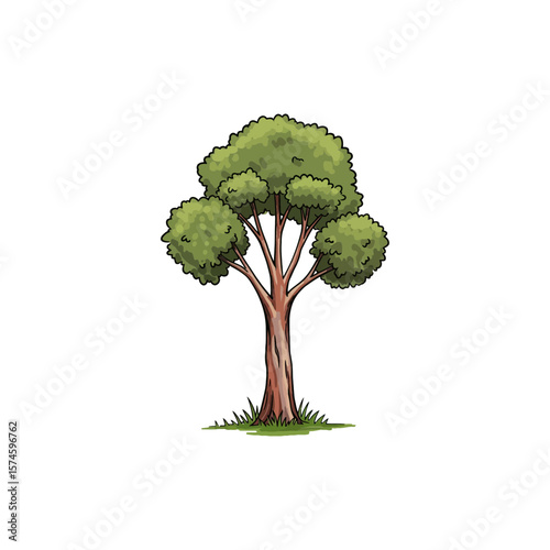 Colorful Icon of River Red Gum Tree with No White