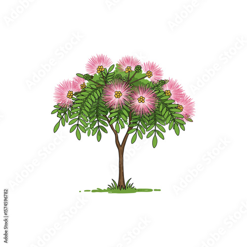 Colorful Icon of Rain Tree Albizia with No White