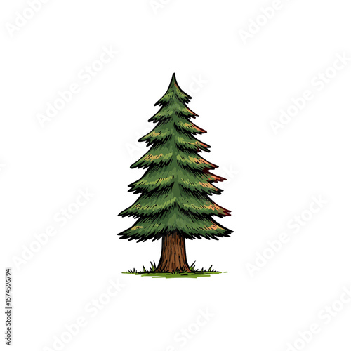 Colorful Icon of Sequoia Tree with No White