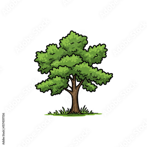 Colorful Icon of Water Oak Tree with Lobed Leaves and No White Color