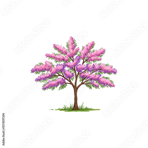 Colorful Icon of Tamarix Tree with No White