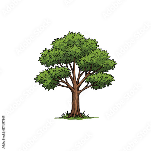 Colorful Icon of West Indian Mahogany Tree with Spreading Crown and No White Fill