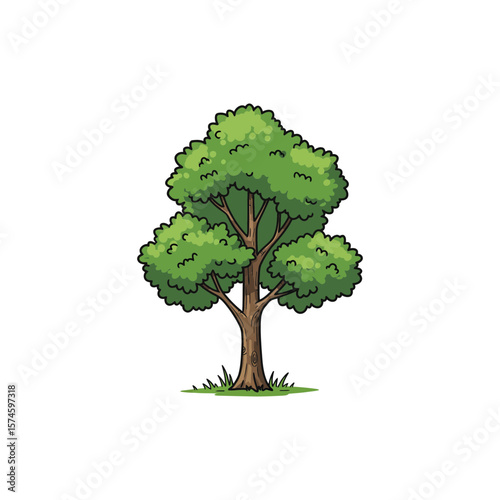 Colorful Icon of White Ash Tree with Compound Leaves and No White Areas