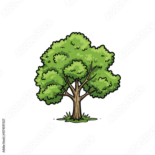 Colorful Icon of White Poplar Tree with Shimmering Leaves and No White Color