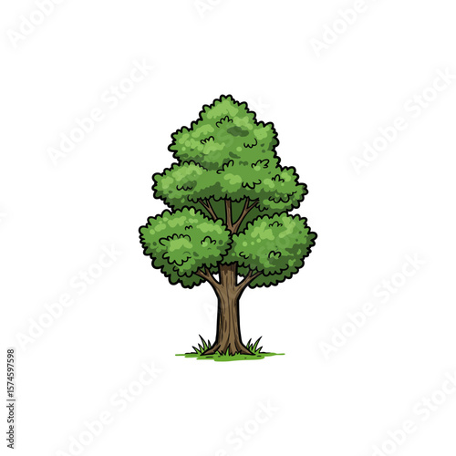 Colorful Icon of Wyche Elm Tree with Serrated Leaves and No White Elements